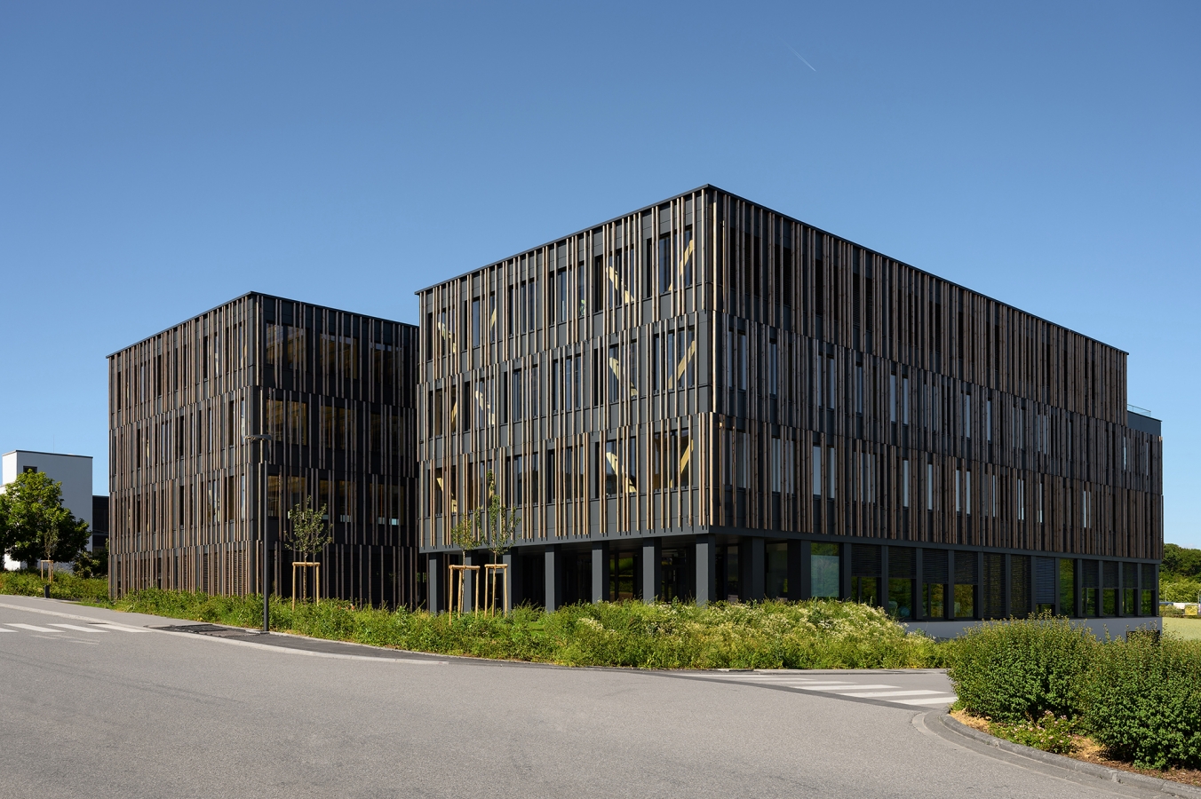 Allegra_Leudelange_01-1.jpg