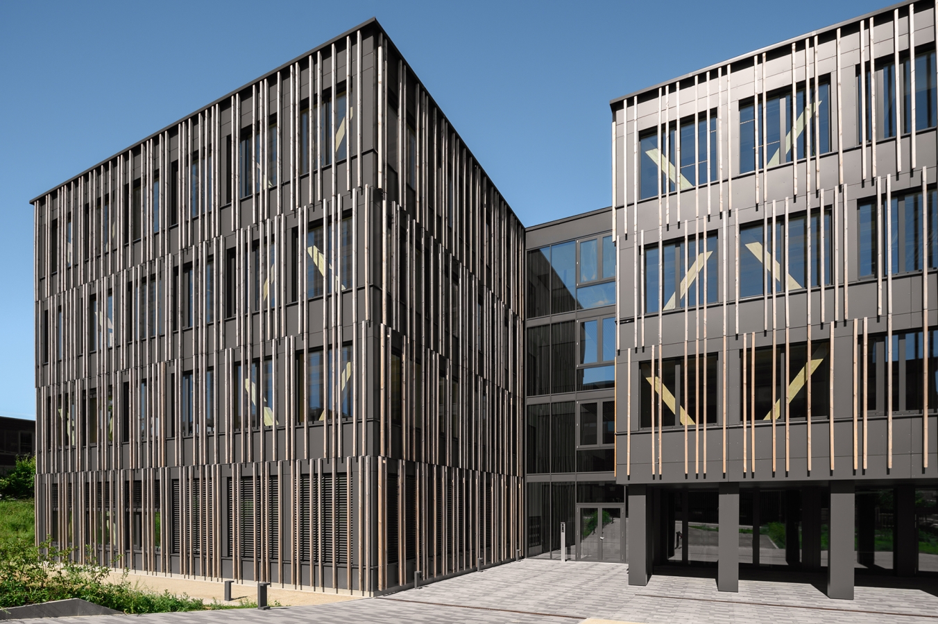 Allegra_Leudelange_03-1.jpg